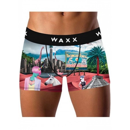 Boxer homme Waxx New World