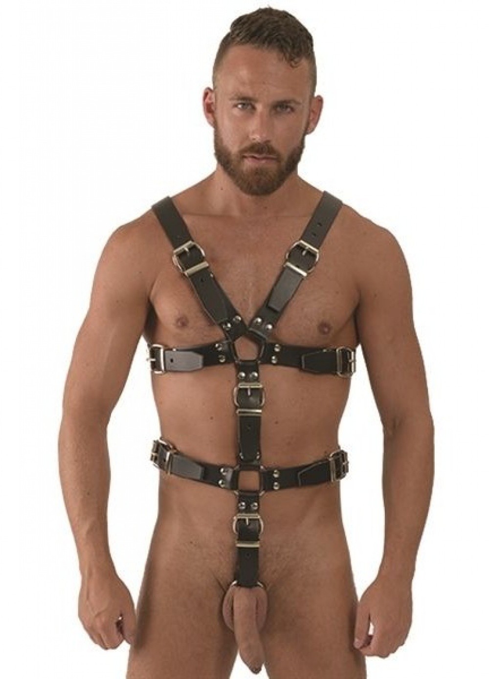 Gay fetish harness