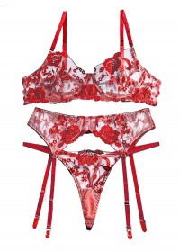 Ensemble lingerie sexy pour femme dentelle rouge porte-jarretelles et string assorti