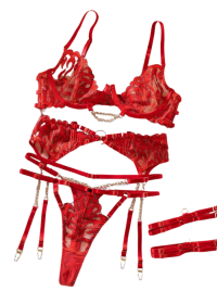 magnifique ensemble, string, porte jarretelle, soutien gorge en rouge dentelle disponible à vannes